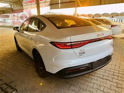 بي واي دي سيل 06 DM-i